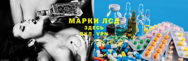 прущий лед Богданович