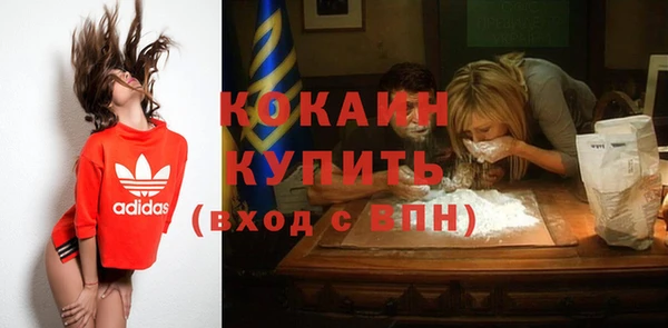 молекула духа Богородицк