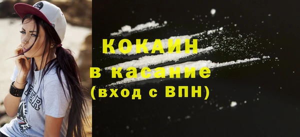 прущий лед Богданович