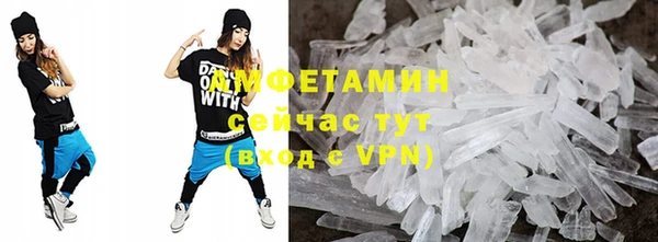 молекула духа Богородицк
