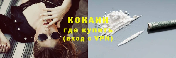 прущий лед Богданович