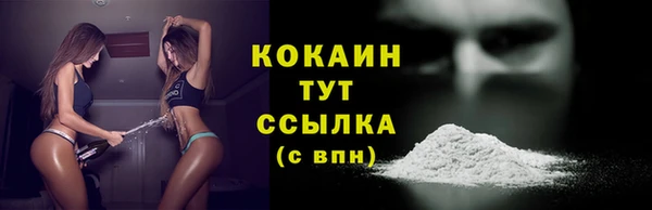 молекула духа Богородицк