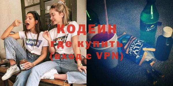 молекула духа Богородицк