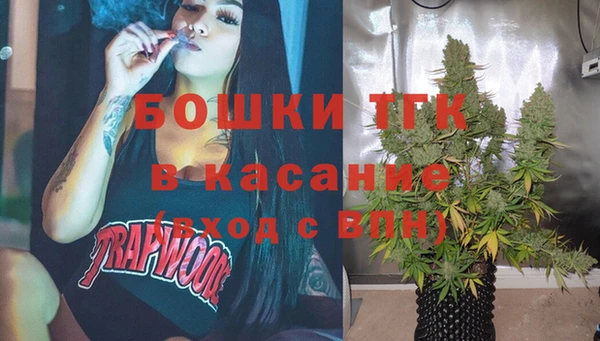 прущий лед Богданович