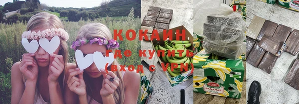молекула духа Богородицк