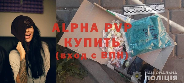 прущий лед Богданович