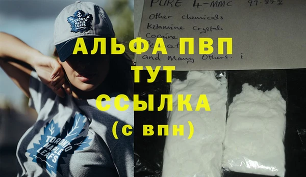 молекула духа Богородицк