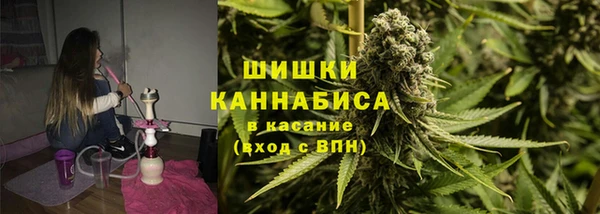 прущий лед Богданович