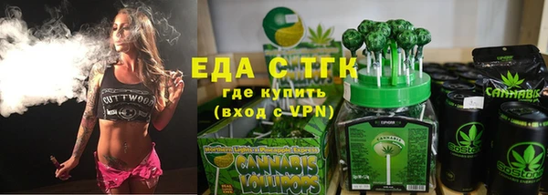 молекула духа Богородицк