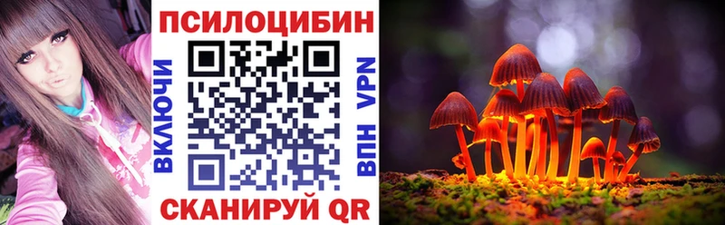 где продают наркотики Кирово-Чепецк Псилоцибиновые грибы Psilocybe