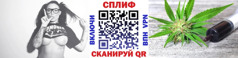 Конопля гибрид  Кирово-Чепецк 
